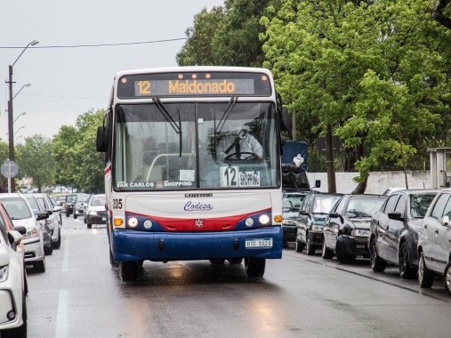 Gremialista de transporte calificó "de frontera" al tránsito de Maldonado
