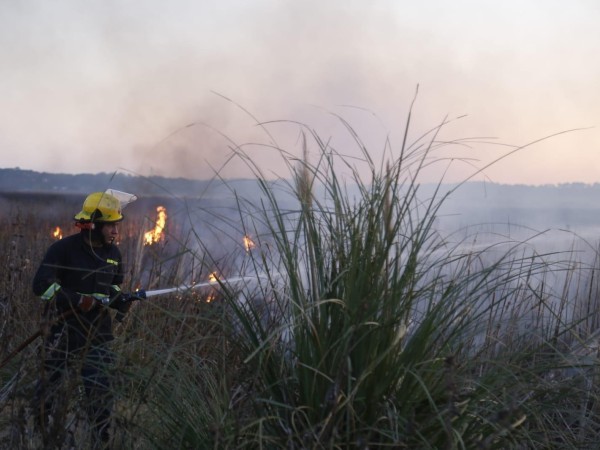 laguna del diario, incendio forestal, humedales, joaquin garlo,