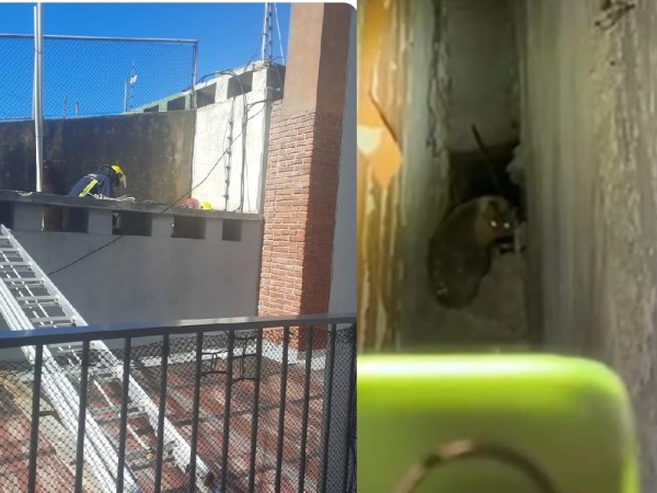 rescate peculiar, punta del este, bomberos rescató a un gato,