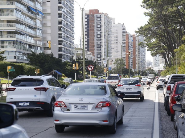 sucive, 22 de julio, transito, patente de rodados