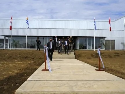 gonzalo aguiar, la maison, punta del este, planta cannabica,