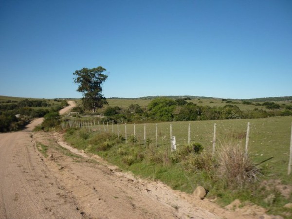 jaurías, campo, precipitaciones