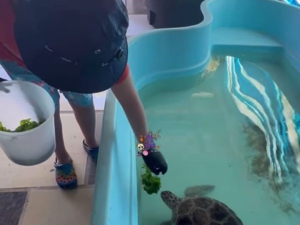 La particular historia de un niño rescatista junior de Rescate Fauna Marina