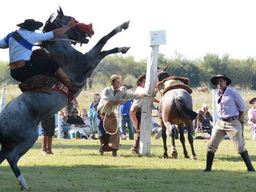 Festival,criollo,escuelas,rurales,losTalas