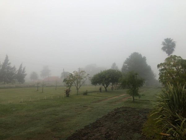 Inumet prevé probables precipitaciones, niebla y rachas de viento para Punta del Este