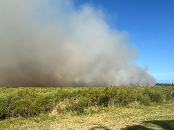 incendio, camino de los ceibos, Maldonado, bomberos,