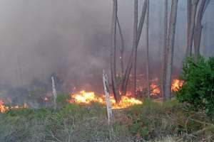 Incendio en Manantiales: obligan a salir del país al argentino detenido cuando acudía a ayudar a su hermana