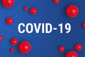 Covid-19: 494 nuevos casos y 8 muertos este lunes