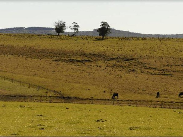 mgap, maldonado, tierras vendidas,