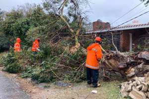 Alerta Naranja por vientos muy fuertes y persistentes: Punta del Este con rachas de 111 km/h y 93 en Laguna del Sauce