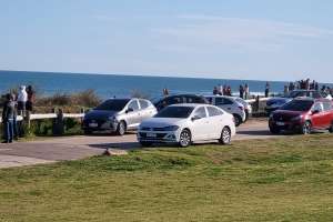 Reaparecieron las ballenas atrayendo a mucha gente a la costa de la brava