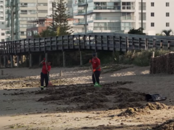 Papeleras de playa no dan abasto