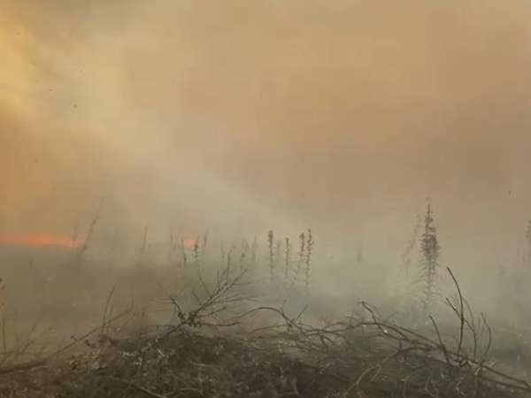 El incendio en una camioneta terminó quemando casi 20 hectáreas de campo y monte cerca de José Ignacio