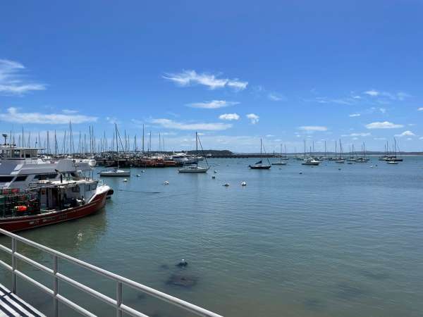 Puerto de Punta del Este: 95% de amarras y 100% en guardería; "nos hemos visto gratamente sorprendidos", dijo Ferreira