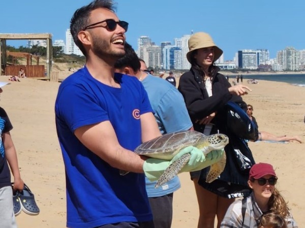 VIDEO: Liberaron a la tortuga verde en la parada 20 de Playa Mansa