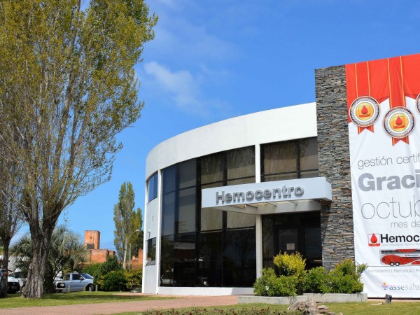 Hemocentro, punta del este, 15 años, medicina transfuncional