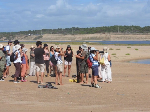 humedales, medioambiente, escosistema